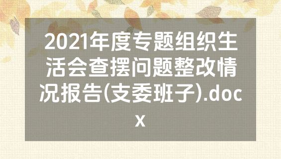2021年度专题组织生活会查摆问题整改情况报告(支委班子).docx