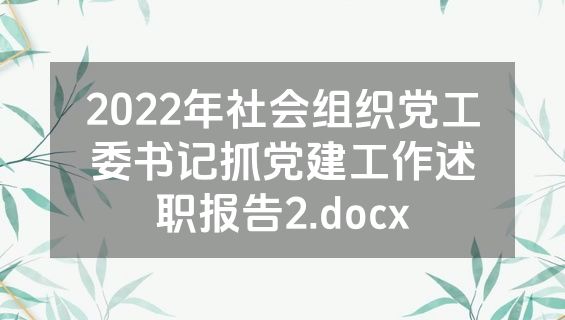 2022年社会组织党工委书记抓党建工作述职报告2.docx