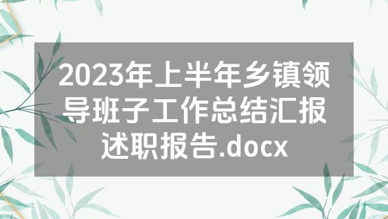 2023年上半年乡镇领导班子工作总结汇报述职报告.docx