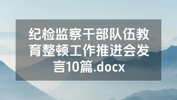 纪检监察干部队伍教育整顿工作推进会发言10篇.docx