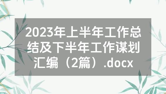 2023年上半年工作总结及下半年工作谋划汇编（2篇）.docx