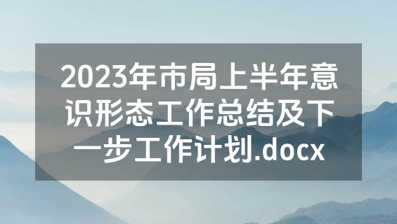 2023年市局上半年意识形态工作总结及下一步工作计划.docx