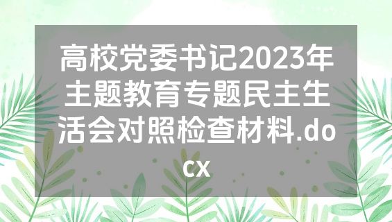 高校党委书记2023年主题教育专题民主生活会对照检查材料.docx