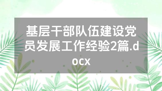 基层干部队伍建设党员发展工作经验2篇.docx
