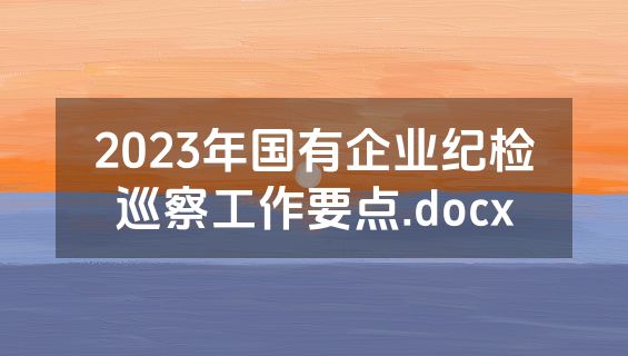 2023年国有企业纪检巡察工作要点.docx