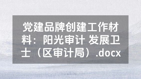 党建品牌创建工作材料：阳光审计 发展卫士（区审计局）.docx