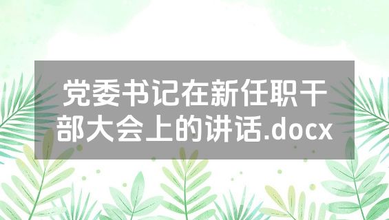 党委书记在新任职干部大会上的讲话.docx