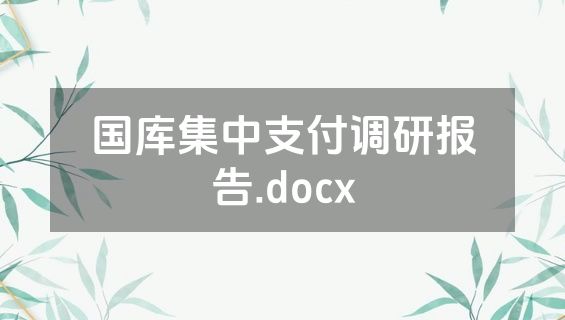 国库集中支付调研报告.docx