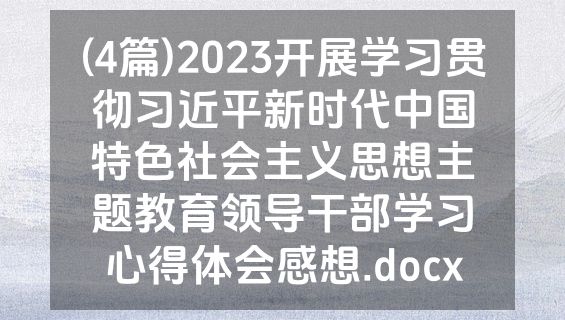 (4篇)2023开展学习贯彻习近平新时代中国特色社会主义思想主题教育领导干部学习心得体会感想.docx
