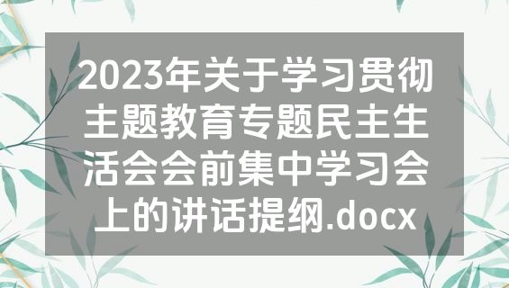 2023年关于学习贯彻主题教育专题民主生活会会前集中学习会上的讲话提纲.docx