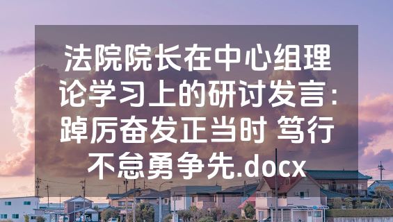 法院院长在中心组理论学习上的研讨发言：踔厉奋发正当时 笃行不怠勇争先.docx