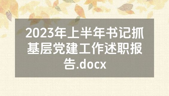 2023年上半年书记抓基层党建工作述职报告.docx