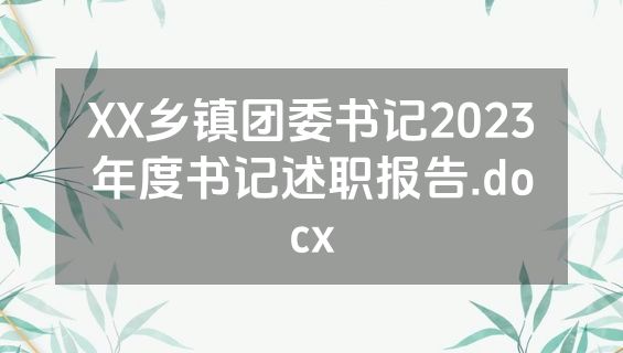 XX乡镇团委书记2023年度书记述职报告.docx