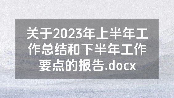 关于2023年上半年工作总结和下半年工作要点的报告.docx