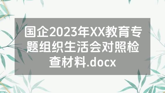 国企2023年XX教育专题组织生活会对照检查材料.docx