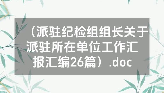 （派驻纪检组组长关于派驻所在单位工作汇报汇编26篇）.doc