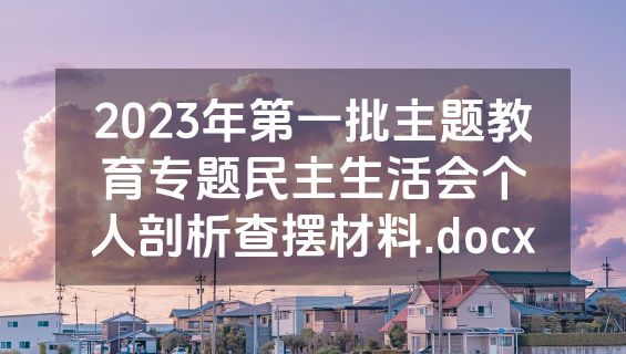 2023年第一批主题教育专题民主生活会个人剖析查摆材料.docx