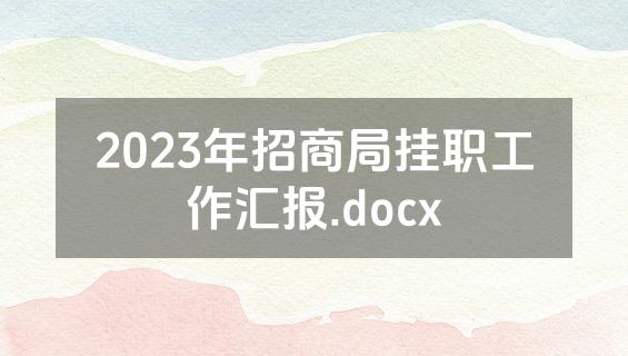 2023年招商局挂职工作汇报.docx