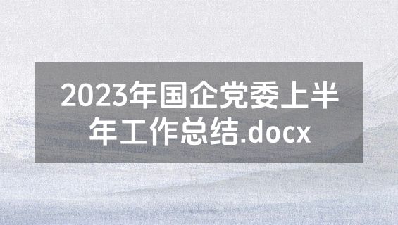 2023年国企党委上半年工作总结.docx