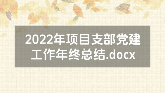 2022年项目支部党建工作年终总结.docx