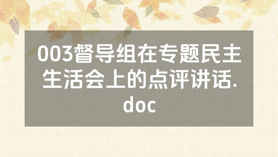 003督导组在专题民主生活会上的点评讲话.doc