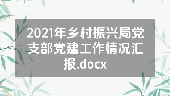 2021年乡村振兴局党支部党建工作情况汇报.docx