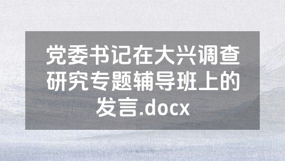 党委书记在大兴调查研究专题辅导班上的发言.docx