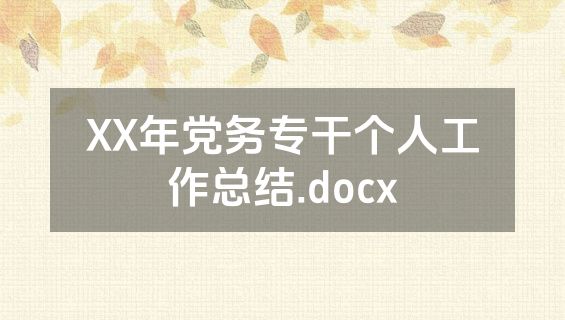 XX年党务专干个人工作总结.docx