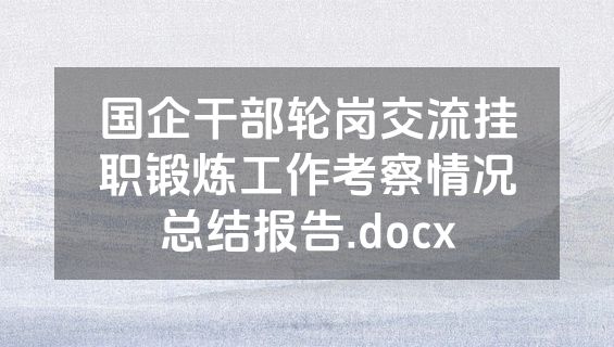 国企干部轮岗交流挂职锻炼工作考察情况总结报告.docx