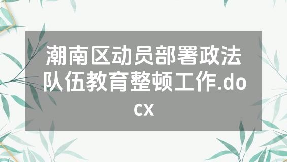潮南区动员部署政法队伍教育整顿工作.docx