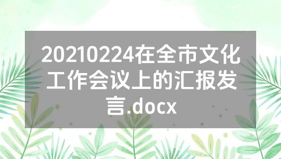 20210224在全市文化工作会议上的汇报发言.docx