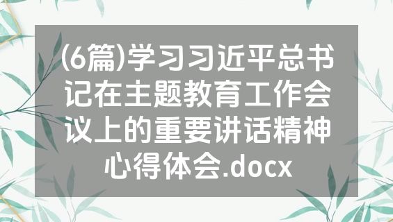 (6篇)学习习近平总书记在主题教育工作会议上的重要讲话精神心得体会.docx