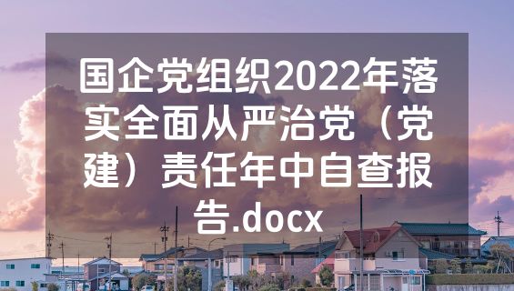 国企党组织2022年落实全面从严治党（党建）责任年中自查报告.docx
