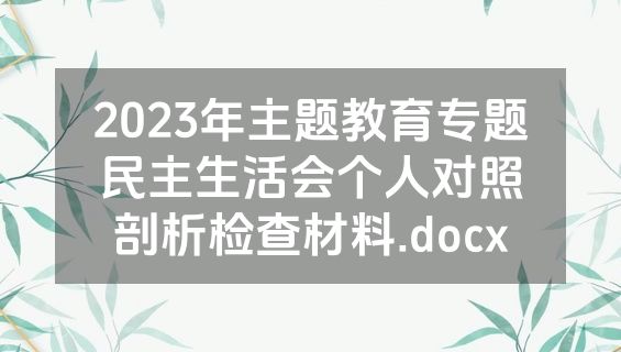 2023年主题教育专题民主生活会个人对照剖析检查材料.docx