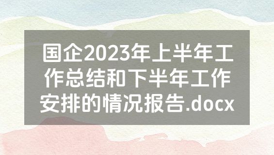 国企2023年上半年工作总结和下半年工作安排的情况报告.docx