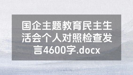 国企主题教育民主生活会个人对照检查发言4600字.docx