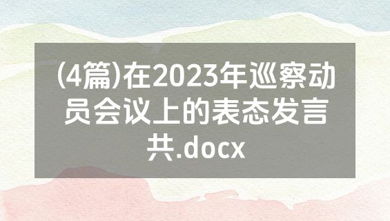 (4篇)在2023年巡察动员会议上的表态发言共.docx