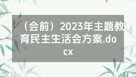 （会前）2023年主题教育民主生活会方案.docx