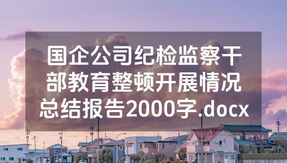 国企公司纪检监察干部教育整顿开展情况总结报告2000字.docx