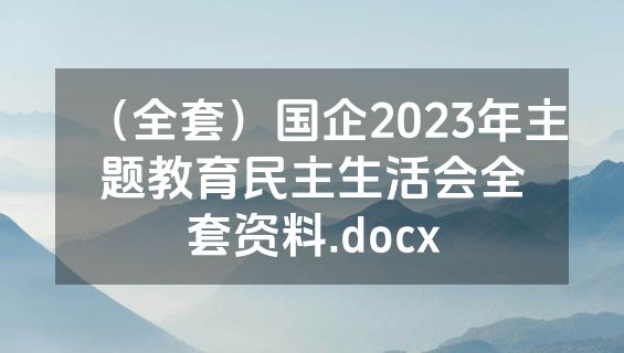 （全套）国企2023年主题教育民主生活会全套资料.docx