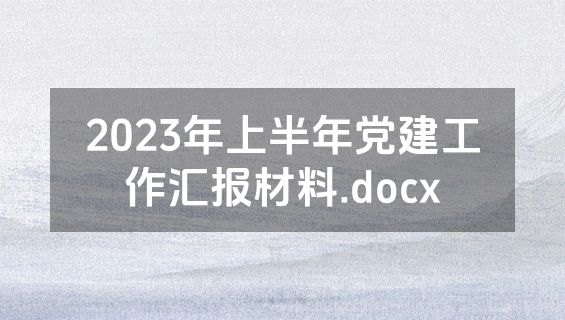 2023年上半年党建工作汇报材料.docx