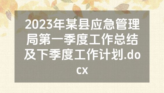 2023年某县应急管理局第一季度工作总结及下季度工作计划.docx