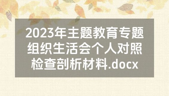2023年主题教育专题组织生活会个人对照检查剖析材料.docx