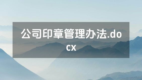 公司印章管理办法.docx