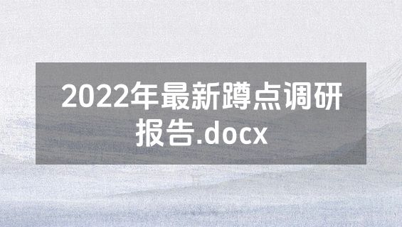 2022年最新蹲点调研报告.docx