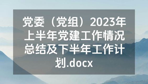 党委（党组）2023年上半年党建工作情况总结及下半年工作计划.docx