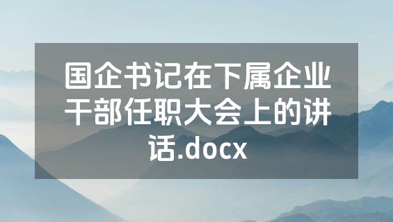 国企书记在下属企业干部任职大会上的讲话.docx