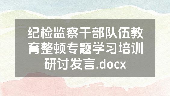 纪检监察干部队伍教育整顿专题学习培训研讨发言.docx