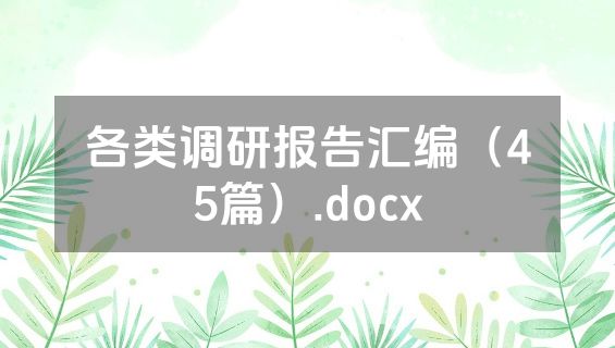 各类调研报告汇编（45篇）.docx
