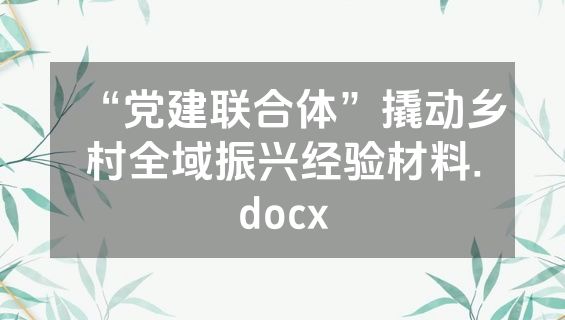 “党建联合体”撬动乡村全域振兴经验材料.docx